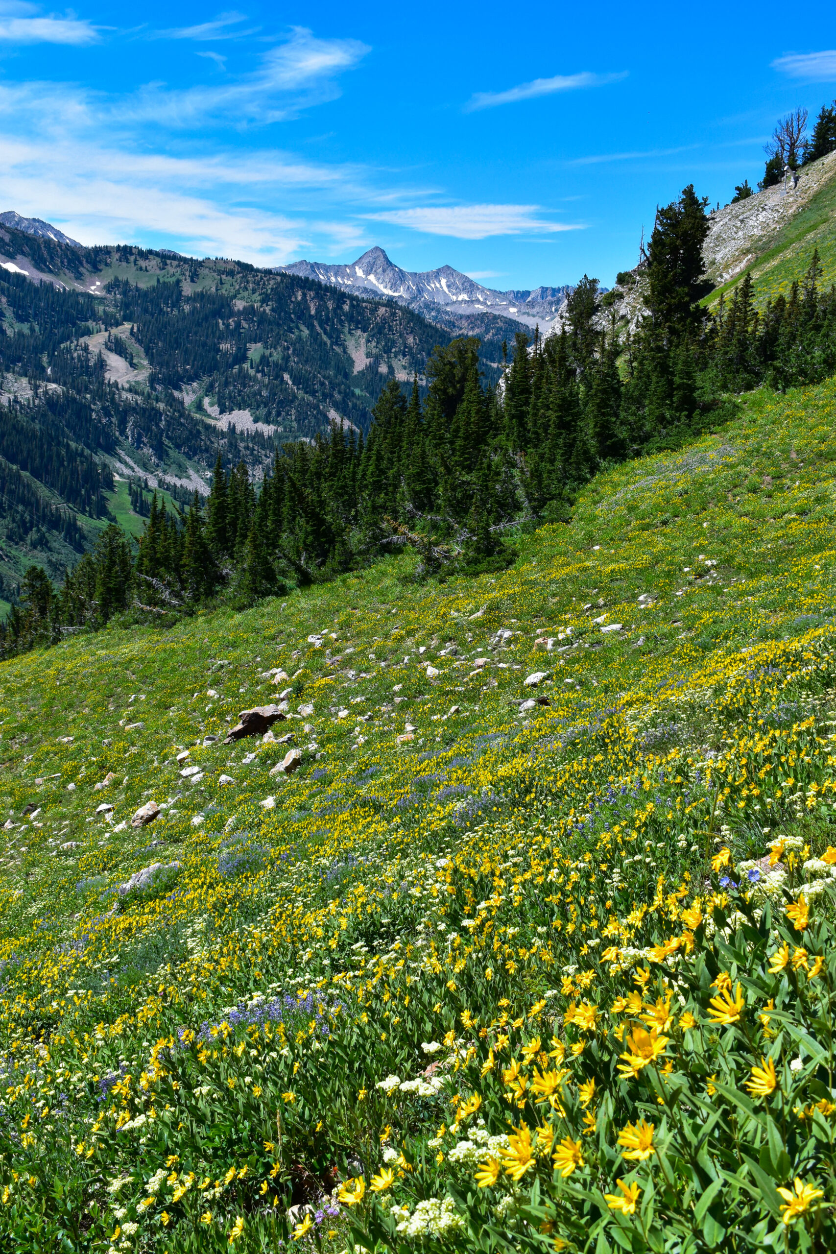 Pfeifferhorn Peak in the Wasatch Range